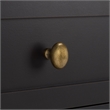 Safavieh Shafa Wood Side Table in Black / Brass