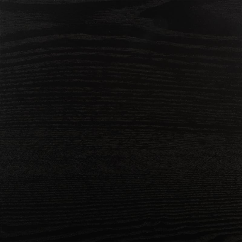 Safavieh Camoni 1 Shelf Wood Coffee Table in Black