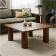 Safavieh Aramin Wood Coffee Table in Walnut
