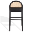 Safavieh Laylie Rattan and Wood  Counter Stool  in Black / Black