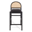 Safavieh Laylie Rattan and Wood  Counter Stool  in Black / Black