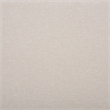 Safavieh Portside Wood Dining Chair in Cream / Gray