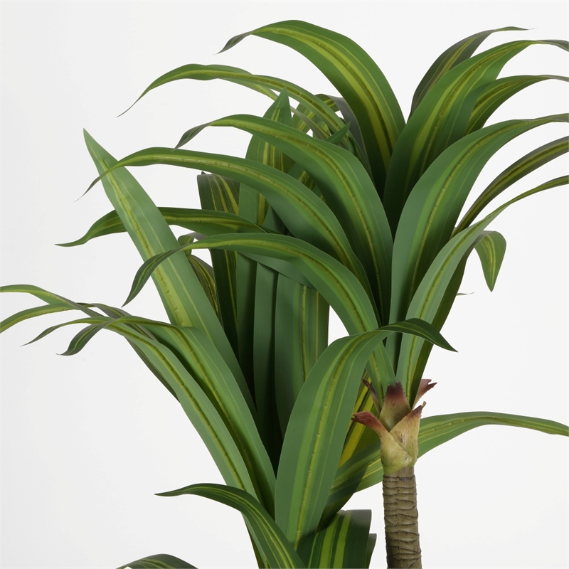 Safavieh Faux 59'' Plastic Dracaena Tree in Green / Black