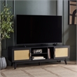 Safavieh Maddy 3 Shelf Rattan Doors Media Stand in Black