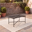 Safavieh Caledonia Iron Coffee Table in Black