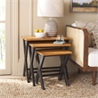 Safavieh Jay Elm Wood Tray Tables in Walnut