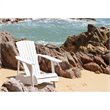 Safavieh Mopani Acacia Chair in White