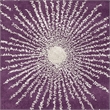 Safavieh Soho Square Rug in Purple / Ivory