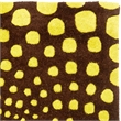 Safavieh Soho 2'-6