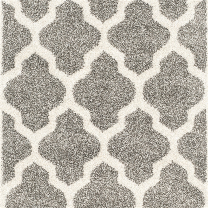 Safavieh Amherst Dark Grey Indoor Outdoor Rug - Runner 2'3