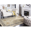 Safavieh Anatolia Taupe Traditional Rug - 3' x 5'
