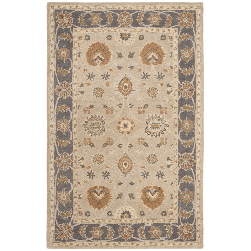 Safavieh Anatolia Taupe Traditional Rug - 6' x 9'