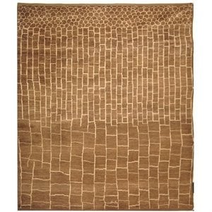 Safavieh Aspen Walnut Contemporary Rug - 6' x 9'