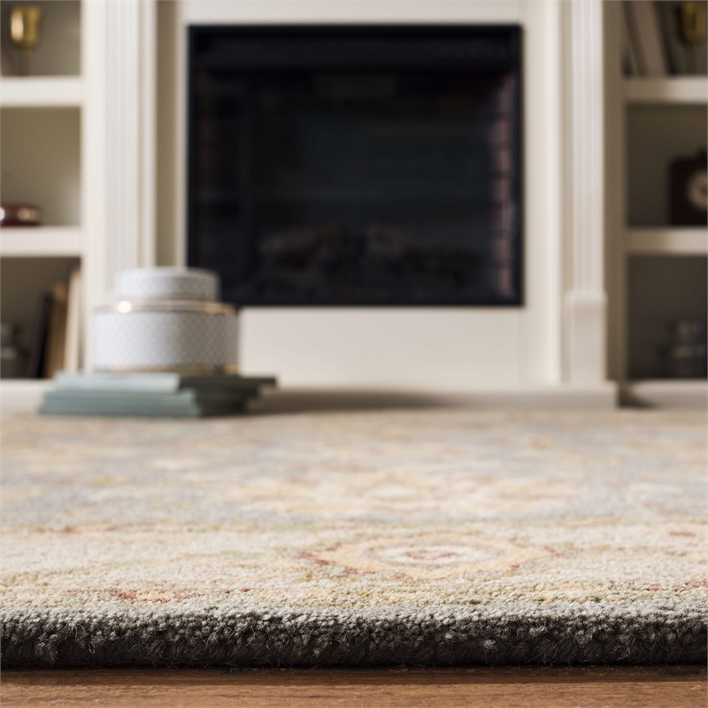 Safavieh Antiquity Red Traditional Rug - 11' x 17'