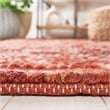 Safavieh Bohemian Rust Country Rug - 3' x 5'