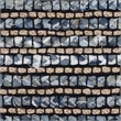 Safavieh Cape Cod Blue Contemporary Rug - Runner 2'3