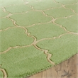 Safavieh Chatham Green Contemporary Rug - Round 4'