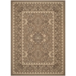 Safavieh Courtyard Brown Indoor Outdoor Rug - 8' x 11'