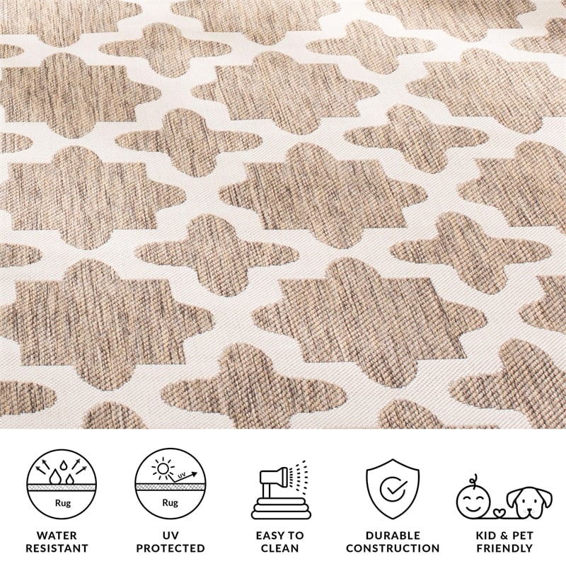 Safavieh Courtyard Brown Indoor Outdoor Rug - 9' x 12'