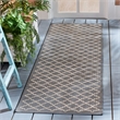 Safavieh Courtyard Anthracite Indoor Outdoor Rug - Runner 2'4