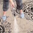 Safavieh Courtyard Creme Indoor Outdoor Rug - Square 7'10
