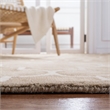 Safavieh Dip Dyed Beige Contemporary Rug - 8' x 10'