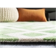Safavieh Dip Dyed Green Contemporary Rug - 5' x 8'