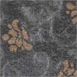 Safavieh Florida Shag Grey Shag Rug - 3'3