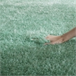 Safavieh Charlotte Shag Teal Shag Rug - 5'1