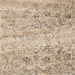 Safavieh Vintage Warm Beige Traditional Rug - 3' x 5'