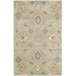 Safavieh Wyndham Light Green Contemporary Rug - 4' x 6'