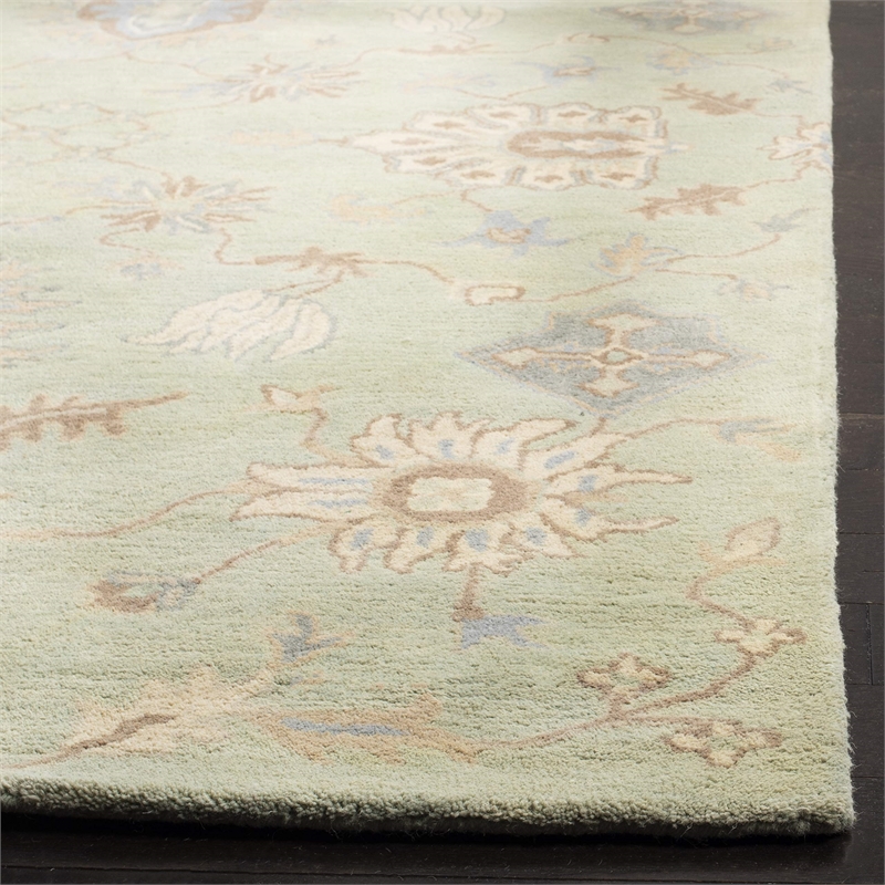Safavieh Wyndham Light Green Contemporary Rug - 4' x 6'
