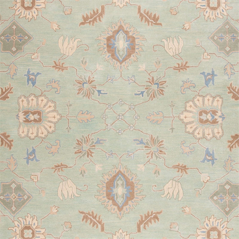 Safavieh Wyndham Light Green Contemporary Rug - 4' x 6'