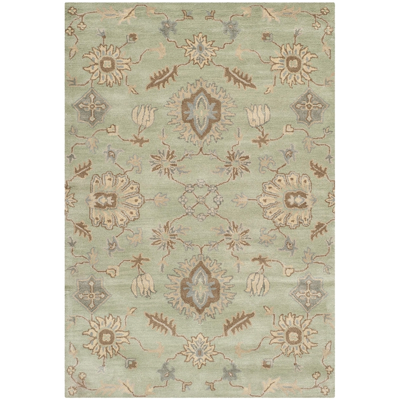 Safavieh Wyndham Light Green Contemporary Rug - 5' x 8'