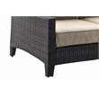 Serta Tahoe Outdoor Loveseat in Terra Brown Wicker