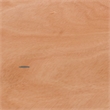 Flash Furniture 30
