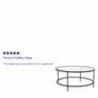 Flash Furniture Astoria Metal and Glass Coffee Table in Black/Matte Clear