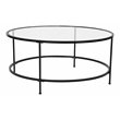 Flash Furniture Astoria Metal and Glass Coffee Table in Black/Matte Clear