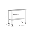 Commercial Stainless Steel 18 Gauge Work Table with Undershelf and Casters-24x48