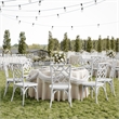 Commercial Solid Wood Stackable Dining Chair with Intricate Back Detail in White