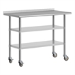 Commercial Stainless Steel Work Table with Backsplash and 2 Undershelves -24x48