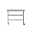 Commercial Stainless Steel Work Table with Backsplash and 2 Undershelves -24x48