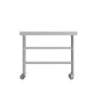 Commercial Stainless Steel Work Table with Backsplash and 2 Undershelves -24x48