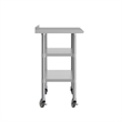 Commercial Stainless Steel Work Table with Backsplash and 2 Undershelves -24x48
