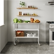 Commercial Stainless Steel Work Table with Dual Undershelves and Casters - 24x48