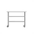 Commercial Stainless Steel Work Table with Dual Undershelves and Casters - 24x48