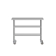 Commercial Stainless Steel Work Table with Dual Undershelves and Casters - 24x48
