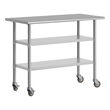 Commercial Stainless Steel Work Table with Dual Undershelves and Casters - 24x48