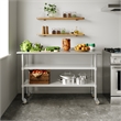 Commercial Stainless Steel Work Table with Dual Undershelves and Casters - 24x60