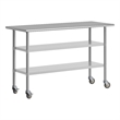 Commercial Stainless Steel Work Table with Dual Undershelves and Casters - 24x60